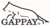 Gappay2009